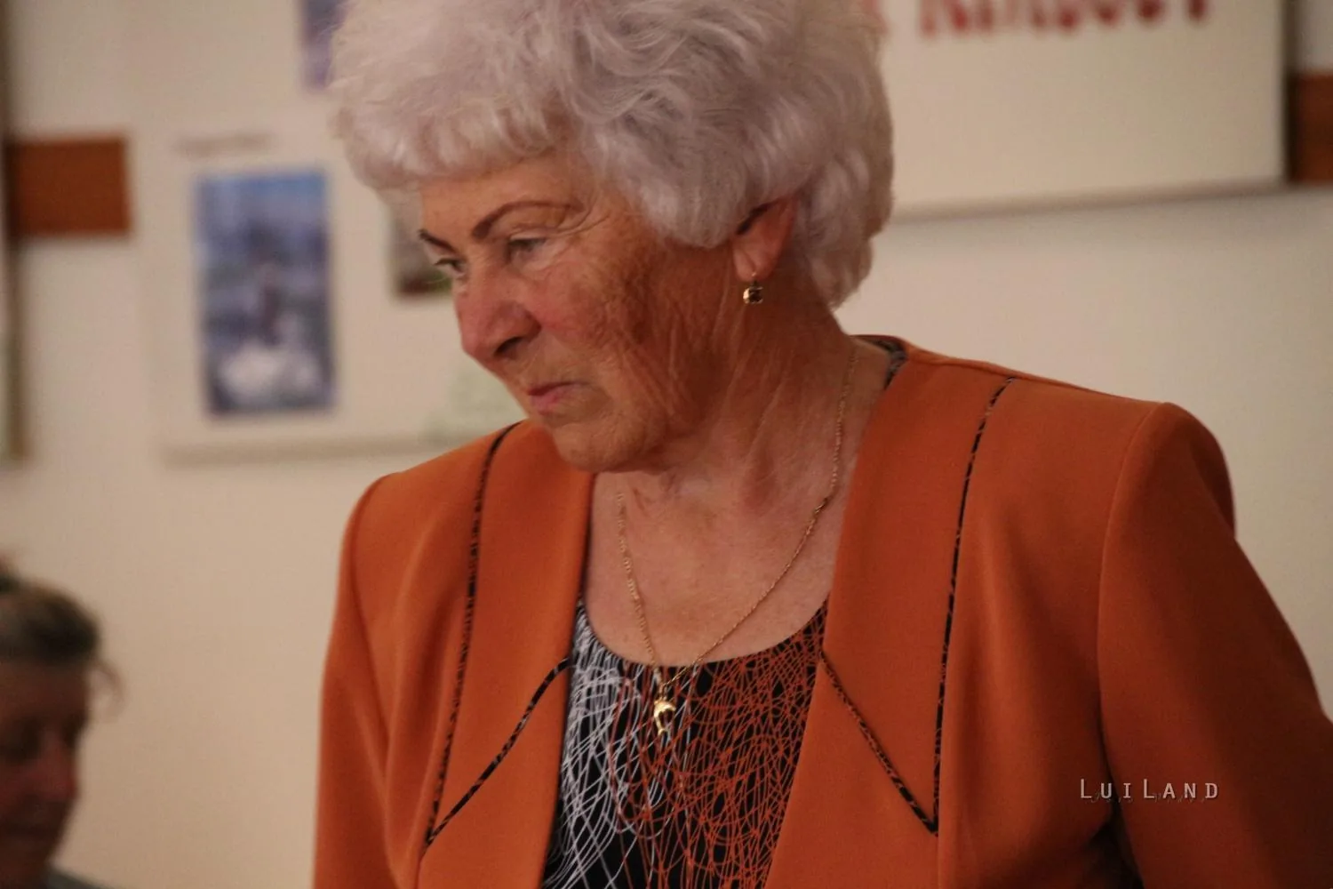 2017 Ösbő Vezér napok /péntek/, képekben.