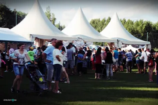 XI. Gombócfesztivál 2019 borítóképe