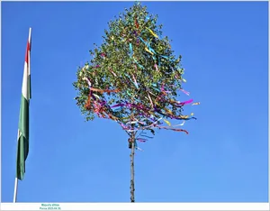 Fotók: Önkormányzat