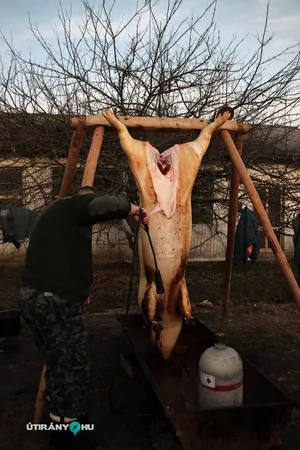 6. Falusi disznóvágás / Fotók: Útirány.hu