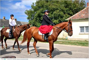 Fotók, Útirány.hu