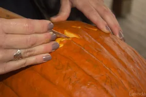 Fotók 1 album: Babai Lalinda