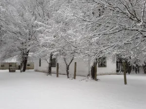 2018 tájfutás képekben