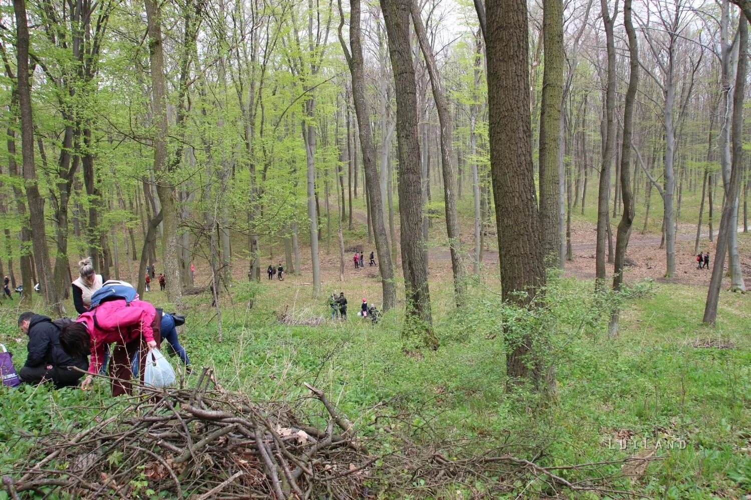 Képek a 2017-es rendezvényről: