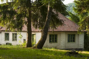 Fotó: Pesty Márton