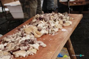 2018 Hagyományőrző disznóvágás. Fotók: Útirány.hu