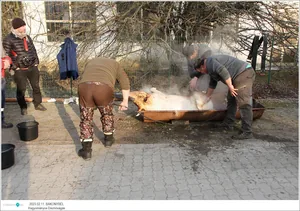 Fotók: Útirány.hu, Kiss Szabó Zoltán