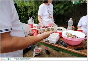 Fotók, Útirány.hu