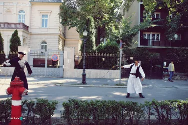 Nemzeti Vágta, szurkoljunk együtt a Bakonynak!