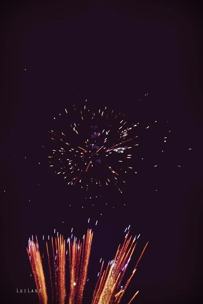 Nyárbúcsúztató főzőverseny, Fotó: LuiLand 