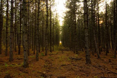 Fotó: Pesty Márton