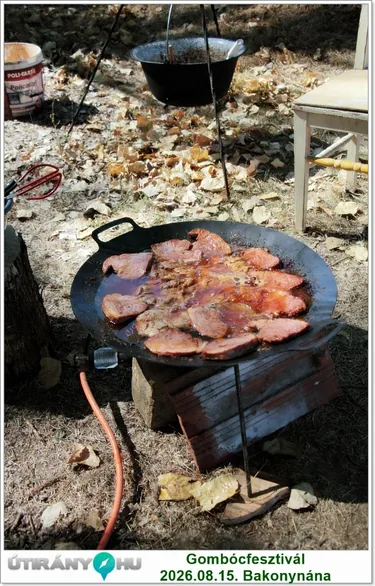 Gombócfesztivál