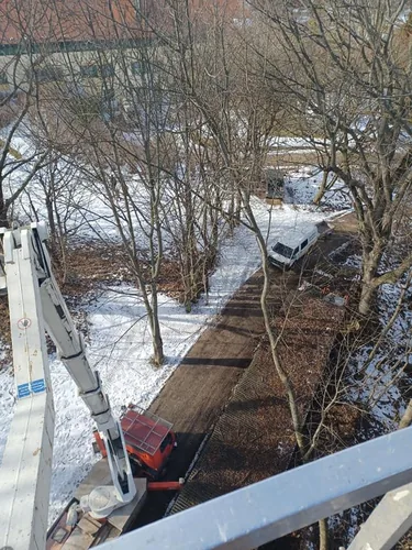 Beteg hárs és szilfát vágtunk 30 m-es kosarasból.