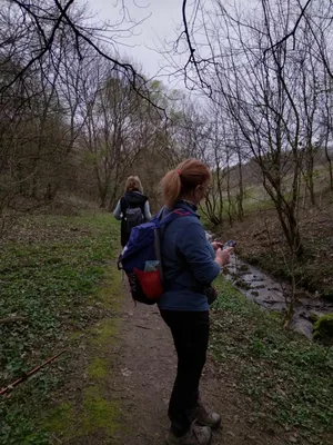 Fotók, Vadon Vándorai 