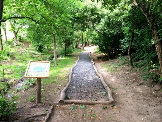 'Mezítlábas Park' cikk borítóképe