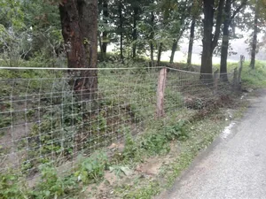 Gerence Pénzesgyőr 2018.09.04.