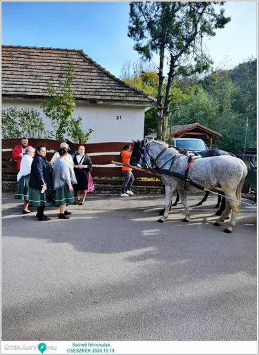 Szüreti felvonulás és Bál
