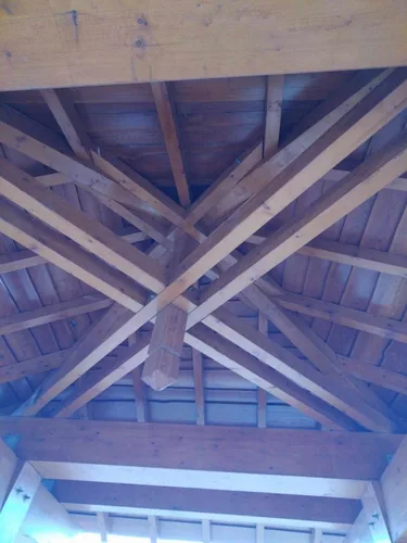 Fotók, Vadon Vándorai 