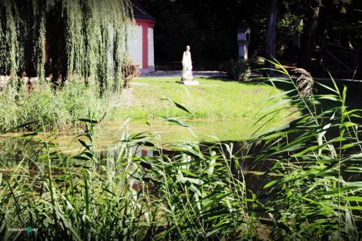 'Inspirált egy látogatót a bakonybéli Szent-kút' cikk borítóképe