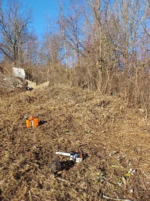 Elhanyagolt terület megtisztítása volt a feladat