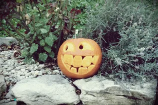 IX. Tökfesztivál borítóképe