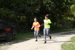 Kora délután, fotók: BakonyiHírek