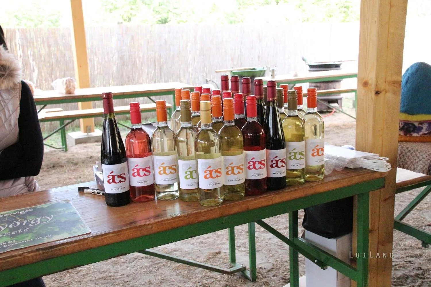 Fotók és kisfilm: Útirány.hu