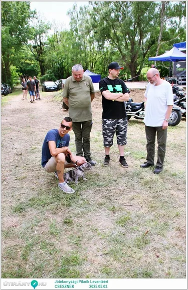Jótékonysági Piknik Leventéért