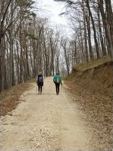 Fotók, Vadon Vándorai 