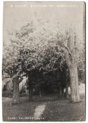 Szent-kút (Borostyán-kút)