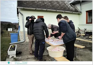 III. Hagyományos disznótor / Képek: Útirány.hu