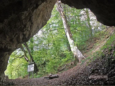 Képek videó 2013 Odvaskő-barlang