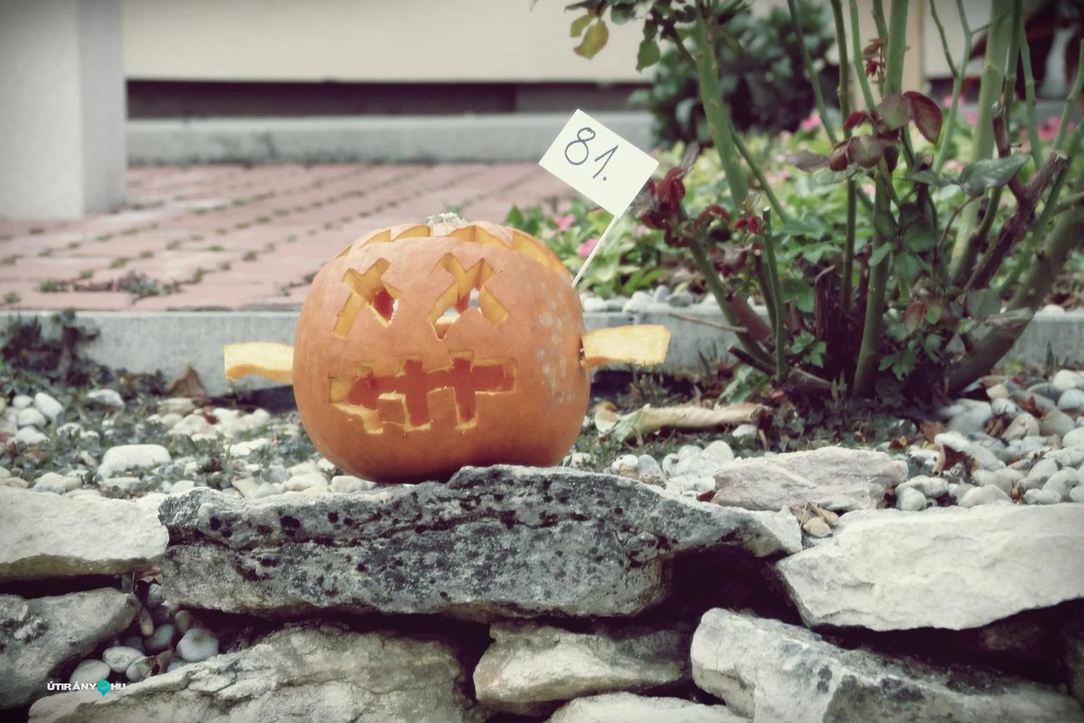 Tökfesztivál 2018. Fotók: Útirány.hu