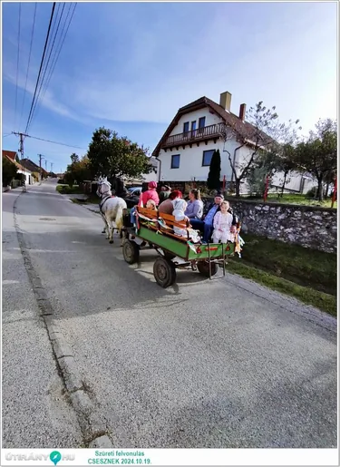 Szüreti felvonulás és Bál