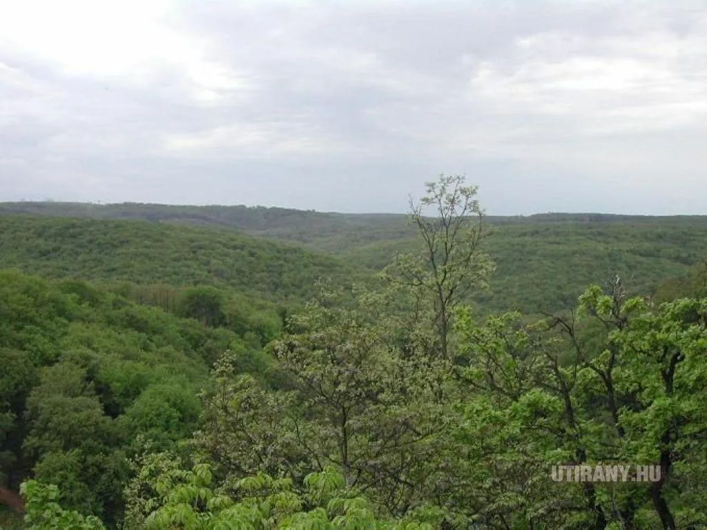 Képek videó 2013 Odvaskő-barlang