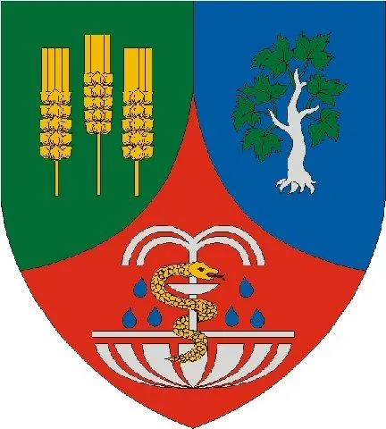 'Moha' cikk borítóképe