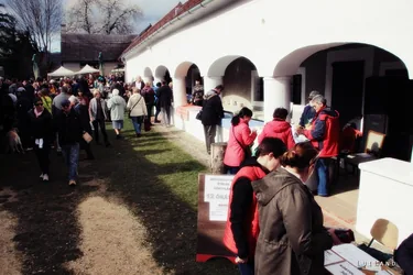 12. Medvehagymás napok