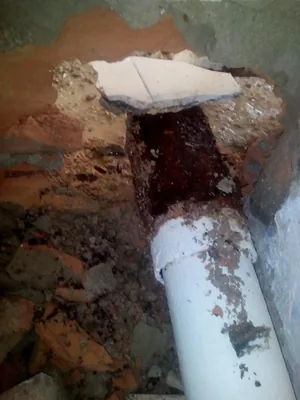 Megújulás képei 2017