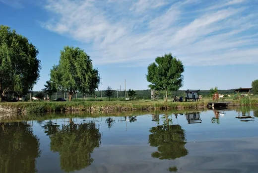 'Ravazdi Erdésztó' cikk borítóképe