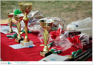 Regionális senior sporttalálkozó