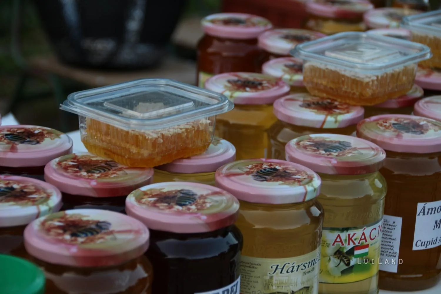 késő délután és este, fotók: BakonyiHírek