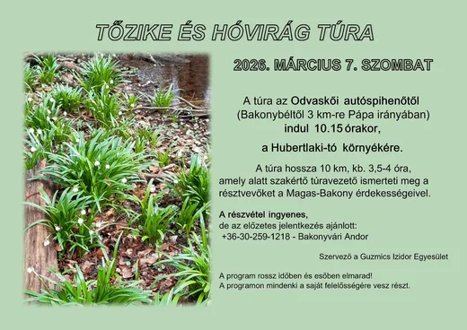 'Tőzike és hóvirág túra ' cikk borítóképe