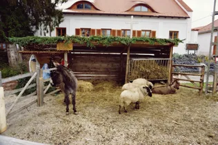 Bakonybéli Betlehem borítóképe