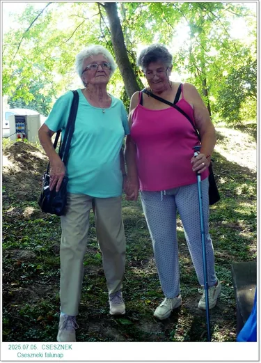 Cseszneki falunap