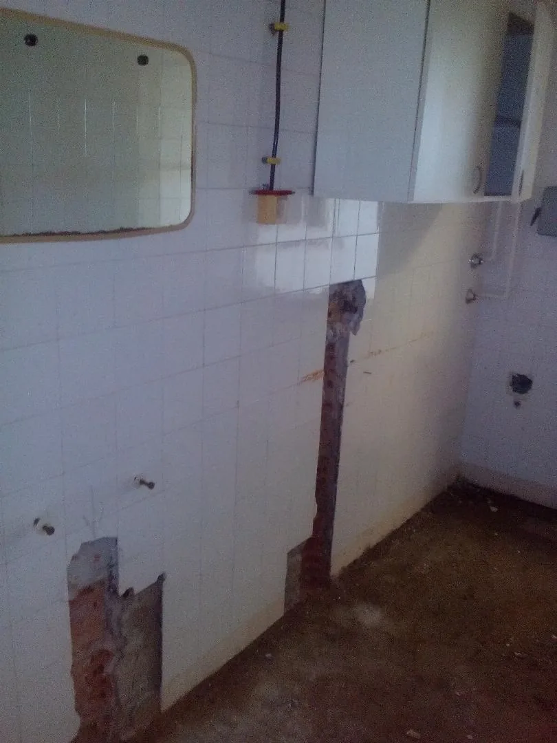 Megújulás képei 2017