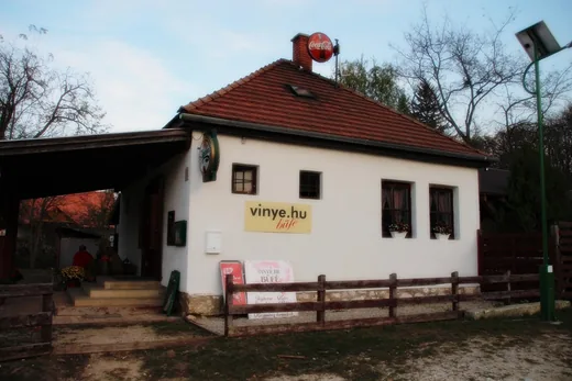 'Nyári szezonra a Vinye büfé munkatársat keres' cikk borítóképe