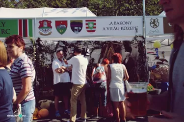 Nemzeti Vágta, szurkoljunk együtt a Bakonynak!
