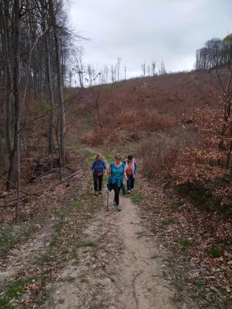 Fotók, Vadon Vándorai 