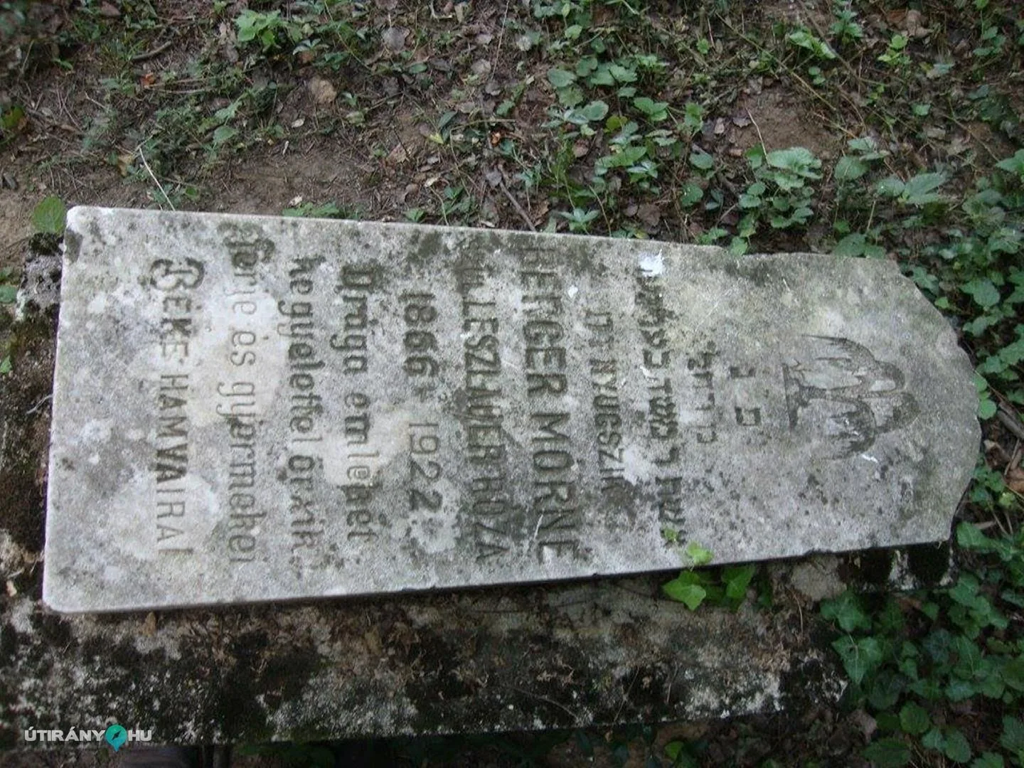 Fotók: 2015 Hegedűs László