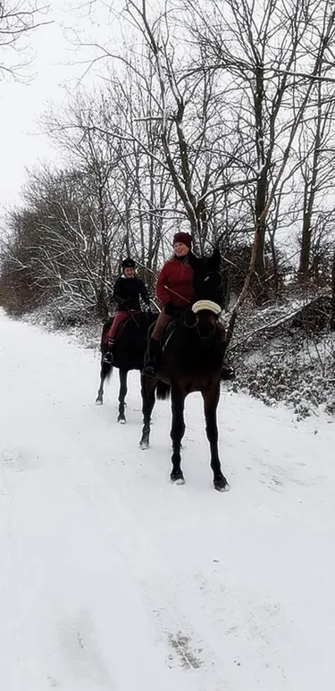 2018 tájfutás képekben